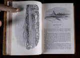 1857 Nineveh And Its Palaces by Joseph Bonomi - Harrington Antiques