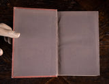 1878 A Visit To South America by Edwin Clark - Harrington Antiques