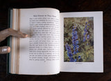 1912 Wild Flowers As They Grow by H. Essenhigh Corke. 5 Vols. - Harrington Antiques