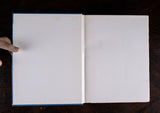 1920 The Scarlet Letter by Nathanial Hawthorne. Illustrated Edition. - Harrington Antiques
