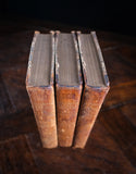 1816 The Class And Orders Of The Linnaean System Of Botany. First Edition.