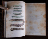 1879 Scientific Lectures by Sir John Lubbock