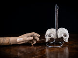 18th Century Carved Skulls Of The Damned