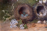 Still Life of Bird Nests and Primroses - Oil On Board.