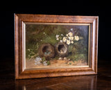 Still Life of Bird Nests and Primroses - Oil On Board.
