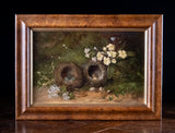 Still Life of Bird Nests and Primroses - Oil On Board.