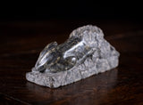 Grand Tour Serpentine Lion Of Lucerne - Harrington Antiques