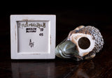In Manner Of Martin Brothers (fl.1870 - 1923) - Grotesque Bird by Andrew Hull, Burslem Pottery. - Harrington Antiques
