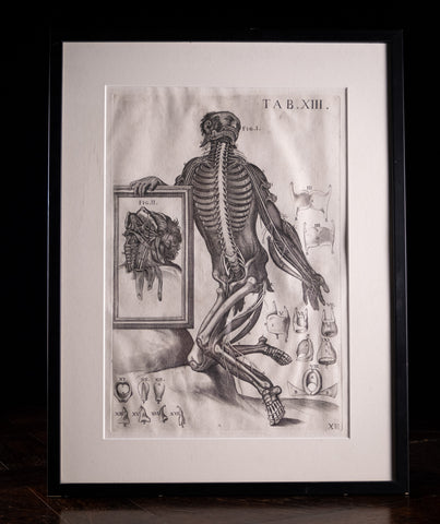 Pietro Berrettini (1596 - 1669) - Engraving Of Plate XIII, Tabulae Anatomicae - Harrington Antiques