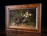 Still Life of Bird Nests and Primroses - Oil On Board. - Harrington Antiques
