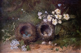 Still Life of Bird Nests and Primroses - Oil On Board. - Harrington Antiques