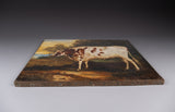 19th Century Prize Bull Portrait. English School. Oil On Canvas. - Harrington Antiques