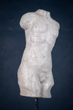 Classical Male Torso Plaster Cast On Marble Base - Harrington Antiques