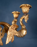 Large Pair Of Gilded Neoclassical Style 7-Branch Candelabra - Harrington Antiques
