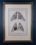 Six Large Architectural Engravings by James Basire I (1730-1802) - After J. Schnebbelie (1760-1792) - Harrington Antiques