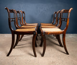 Six Regency Mahogany & Caned Dining Chairs In The Manner Of Gillows. - Harrington Antiques