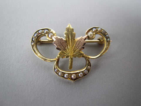 Vintage 14 Carat Gold and Seed Pearl Maple Leaf Brooch - Harrington Antiques